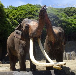 金沢動物園