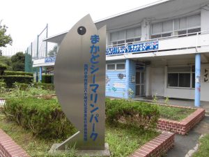 横浜市立間門小学校附属海水水族館