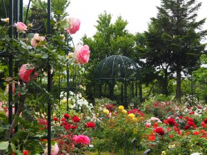 横浜市こども植物園