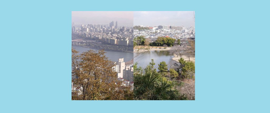 「アーティストとひらく　鎌田友介展：ある想像力、ふたつの土地」2026/4/25～6/28　横浜美術館