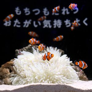 横浜開運水族館