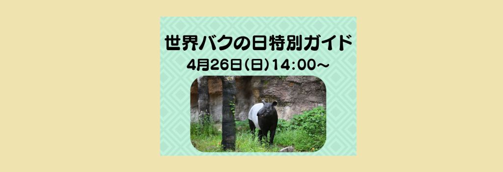「世界バクの日特別ガイド」2026/4/26　14：00～　よこはま動物園ズーラシア
