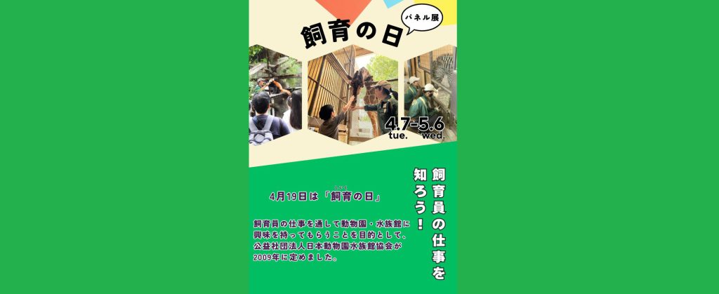 「のげやま飼育の日2026」2026/4/18、4/19　野毛山動物園