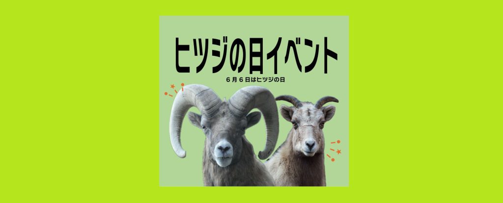 「オオツノヒツジ検定」2026/6/6～6/7　横浜市立金沢動物園
