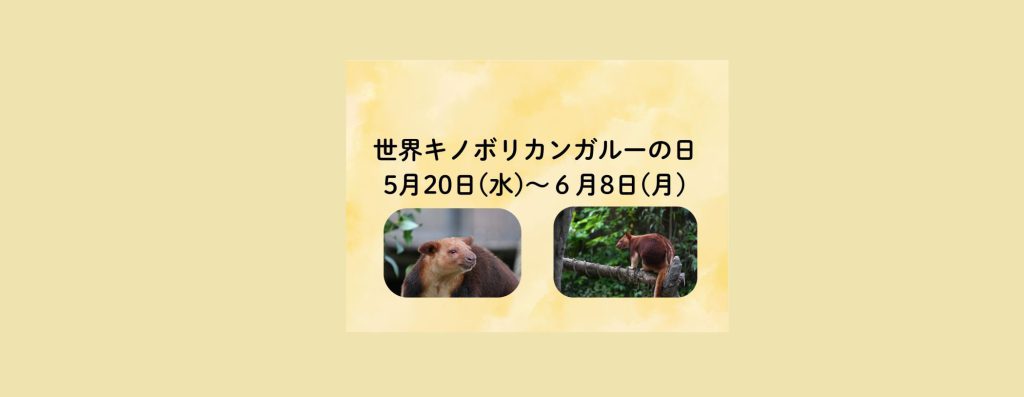 「世界キノボリカンガルーの日」イベント　2026/5/20～6/8　よこはま動物園ズーラシア