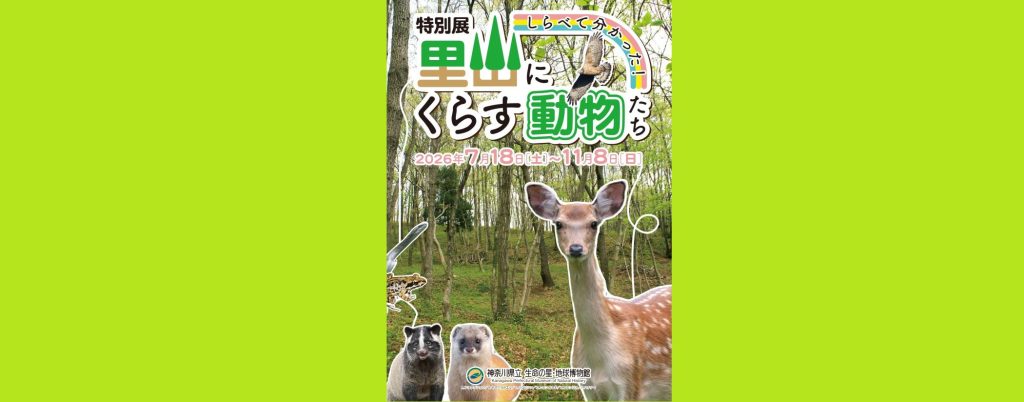 特別展「しらべて分かった！里山にくらす動物たち」2026/7/18～11/8　神奈川県立生命の星・地球博物館