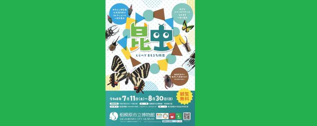 企画展「昆虫　しらべてまもる多様性」2026/7/11～8/30　相模原市立博物館