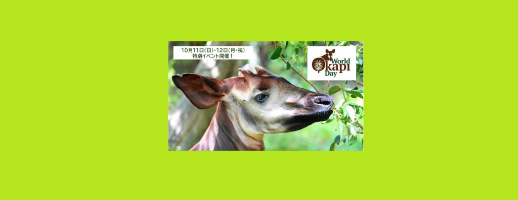 「世界オカピの日特別イベント 2026」2026/10/11～10/12　よこはま動物園ズーラシア